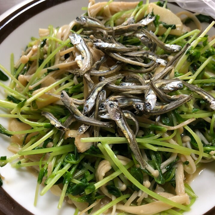 豆苗とエノキダケのニンニク炒め レシピ 作り方 By 主夫あっぷる 楽天レシピ 豆苗とエノキダケのニンニク炒め レシピ 作り方 By 主夫あっぷる 楽天レシピ